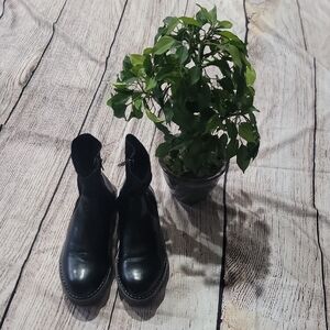 Zara Black Ankle Boots for Women